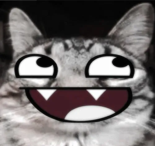 Phong cách meme hóa biến mèo meme thành biểu tượng