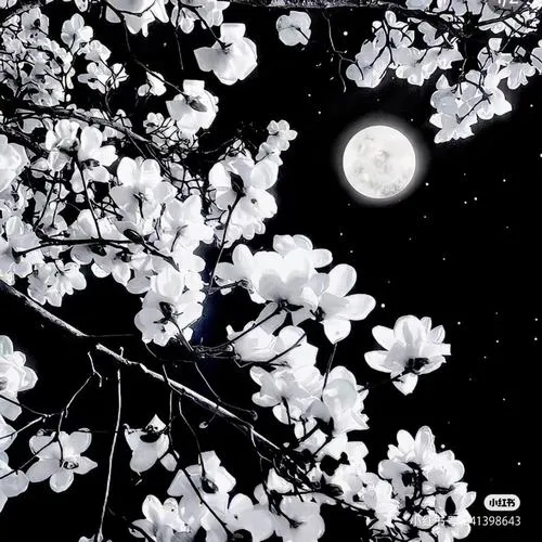 Avatar buồn thể hiện ánh sáng mềm bố cục đơn giản nghiêm túc