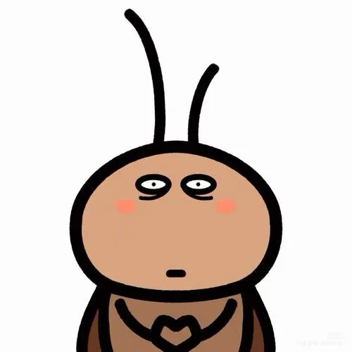 Ảnh profile Zalo đẹp với độ nét ổn định