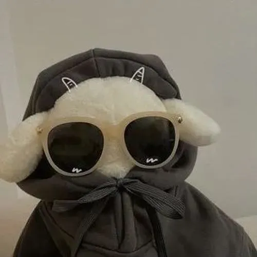 Ảnh đại diện đôi vô tri nhẹ nhàng với bố cục đối xứng và ánh sáng dịu