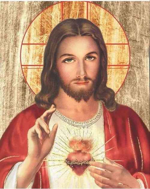 Bố cục cận cảnh với tông màu chủ đạo ấm cho cảm giác an ủi