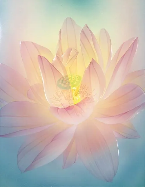 Ảnh sen thanh tịnh gợi vô nhiễm giữa bùn và nước