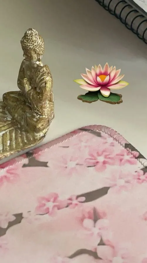 Sen nở trong tông màu chủ đạo: hồng sen dịu