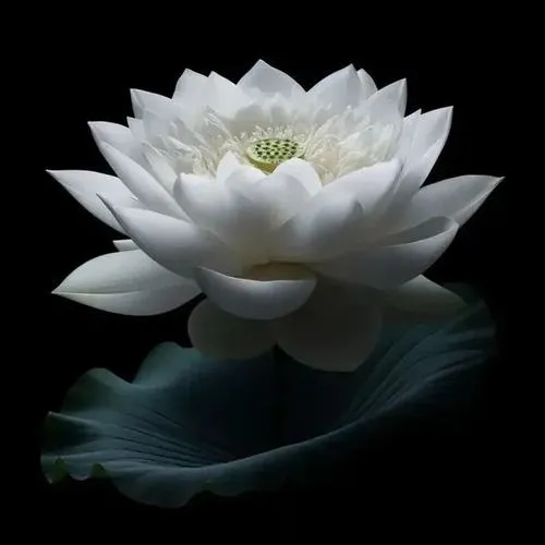 Khói hương bảng lảng quanh bàn thờ làm không khí trang nghiêm