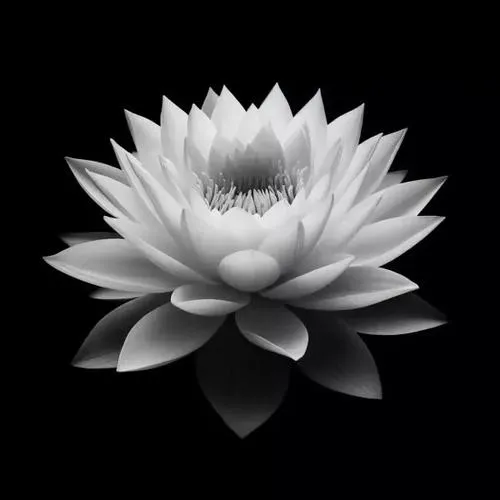 Mặt nước phản chiếu nỗi trầm mặc với gợn sóng chậm