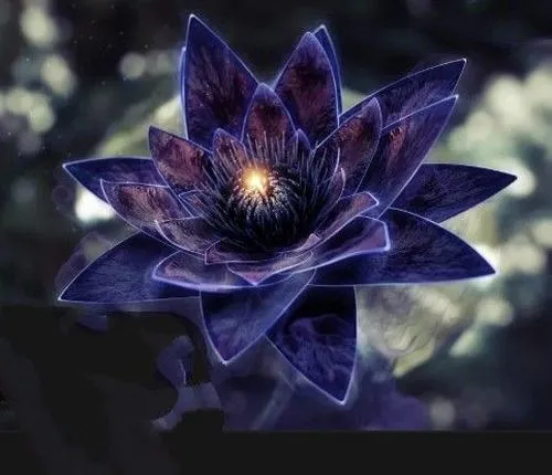 Dùng ánh sáng hắt nhẹ làm viền sáng trên cánh nổi bật