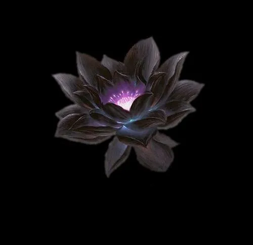 Cận cảnh cánh sen thuộc bông sen với gân cánh thuộc cánh sen