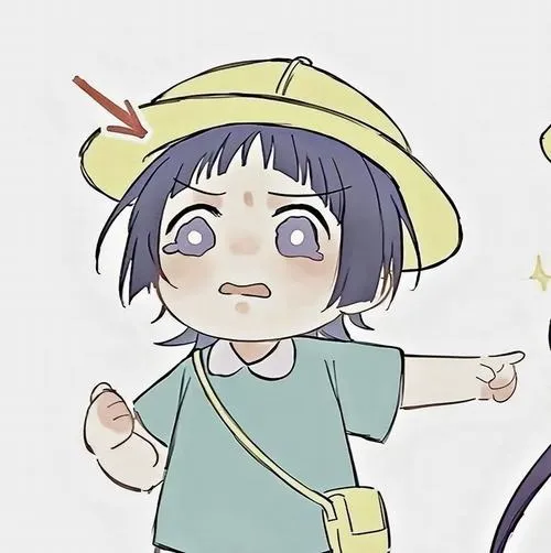 Ảnh cá nhân Zalo avatar nghệ thuật đôi nữ minh họa phẳng