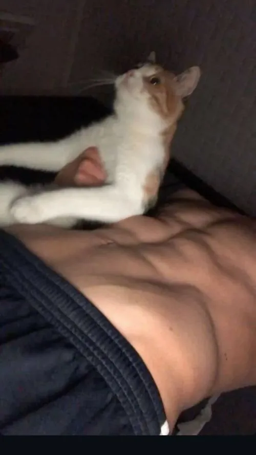 Nằm nghiêng có mèo cạnh, cận bụng, tông trầm nhẹ tạo vibe thư giãn dễ chịu.