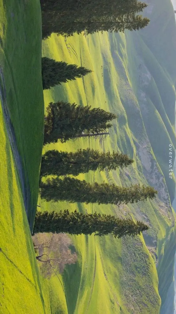 Ảnh nền thiên nhiên cây cầu lớn bắc qua mặt nước xanh, nhà cửa ven bờ và trời trong phía sau khiến khung cảnh đô thị ven sông này sáng và gọn mắt