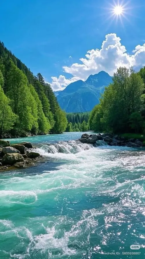 Một con đường gỗ băng qua đầm lầy xanh rêu, lau sậy mọc dày hai bên tạo nên khung ảnh bìa thiên nhiên sạch sẽ và khá khác mắt trên giao diện số