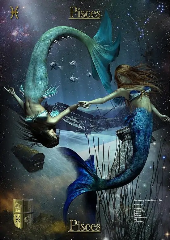 Tấm nền gạch men xanh ngọc in ký hiệu Song Ngư ở giữa bể nước cạn, vài giọt mưa đầu mùa đọng trên mặt gạch khiến khung cảnh vừa mát vừa rất sạch mắt