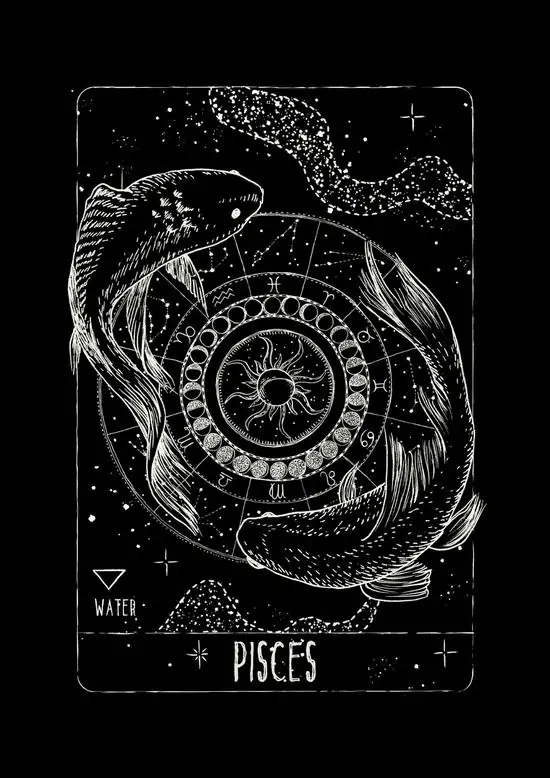 Sân khấu múa đương đại phủ sương mỏng, hai dải lụa dài treo từ trần rủ xuống đối xứng như cặp cá đang bơi nên tấm này có chất 3D khá ấn tượng