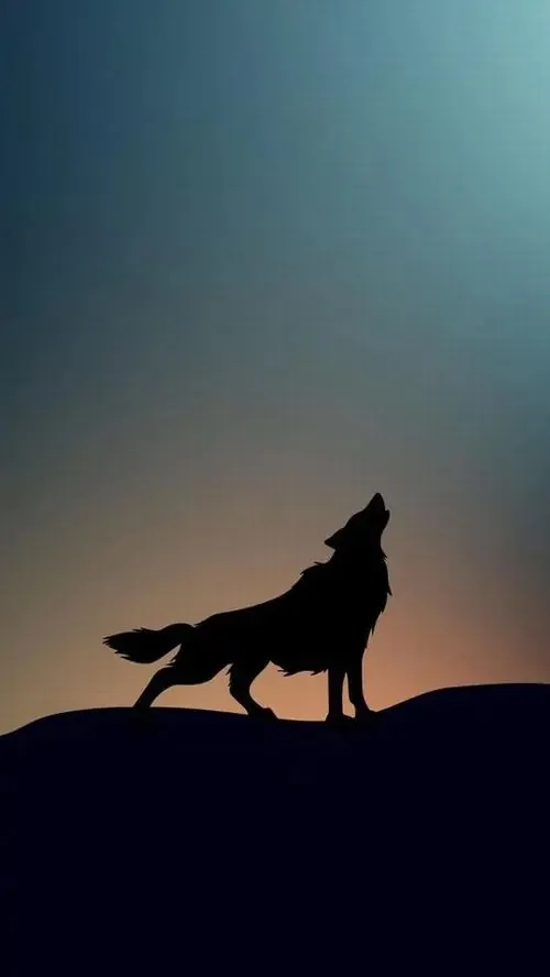 Hình nền cận mặt sói trắng phủ vệt mực đen, một mắt đỏ rực nhìn xéo từ góc gần, nền lạnh như bão tuyết làm khung dọc này lên chất HD rất gắt