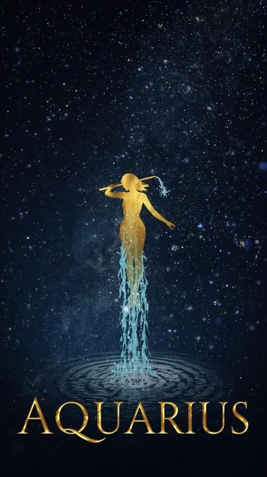 Một thiết kế ghép vải dùng chỉ bạc may thành ký hiệu sóng nước, nền tím than lẫn hạt cườm nhỏ khiến hình ảnh cung hoàng đạo thứ mười một mềm hơn mà vẫn có nét lý trí