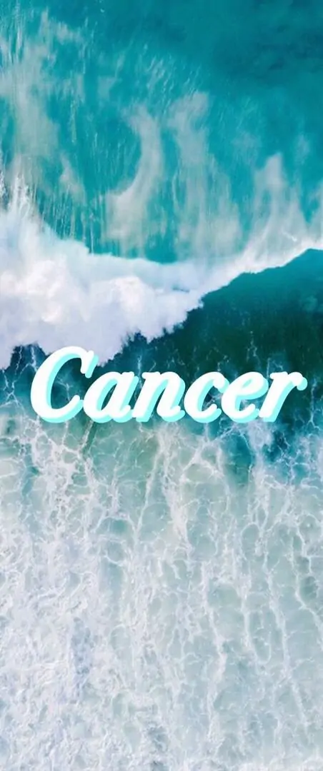 Cô bé mặc áo mưa xanh ngồi cạnh bể kính xem cua bò, góc chụp ngang khiến ảnh cung Cự Giải mang chất kể chuyện rất khác và đầy sinh hoạt