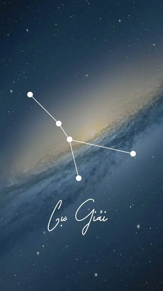 Cửa tiệm sách bày riêng một kệ có biển Cancer cùng nến, sổ và vài món màu bạc, ảnh chụp chính diện làm Giải Giải đi vào ngữ cảnh mua sắm thường ngày