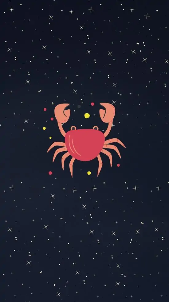 Một chiếc áo hoodie xanh đậm in hình cua phát sáng được treo trước tường bê tông, cách chụp lookbook khiến chủ đề cung Cự Giải trẻ hơn và dễ ứng dụng