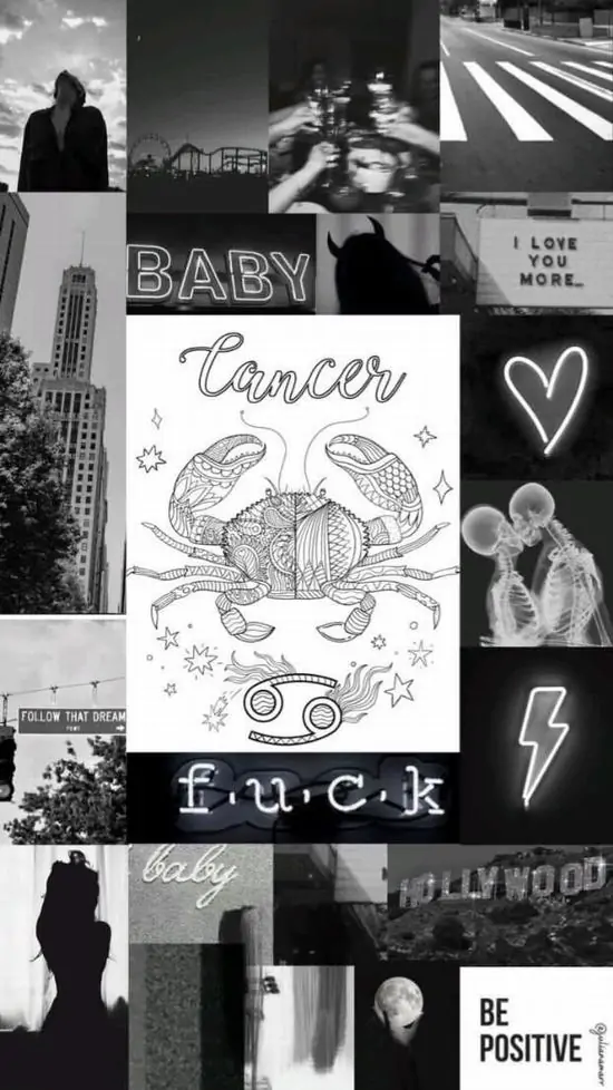 Bộ bài tarot trải nửa vòng trên khăn xanh sẫm, lá ở giữa mang hình trăng và cua đỏ tạo cảm giác cung thứ tư đi vào thế giới huyền học theo cách khác