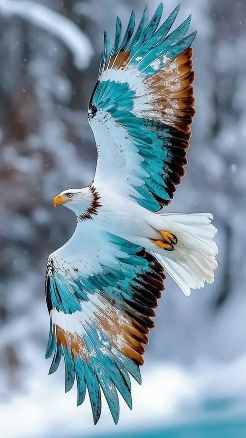 Trên nền đá đen sau cơn mưa, đại bàng đậu thẳng người và ngoái đầu nhìn xa, giọt nước còn bám ở mỏ khiến khung hình HD trông lạnh và cứng cáp hơn