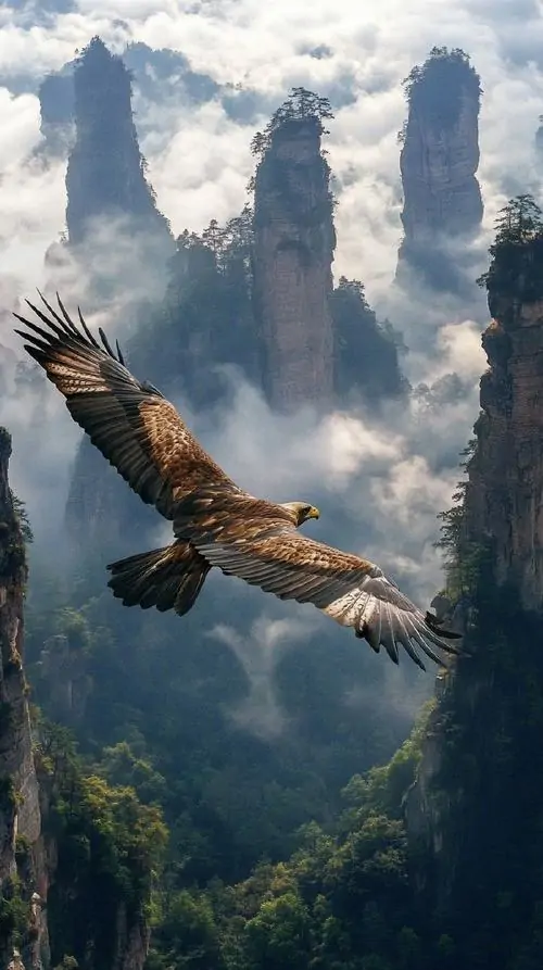 Ảnh bìa đại bàng Harpy đậu giữa rừng rậm, mào lông dựng cao và chân to bám chặt thân cây, kiểu khung dọc này hợp làm phông nền chúa tể bầu trời 4K rất lạ mắt