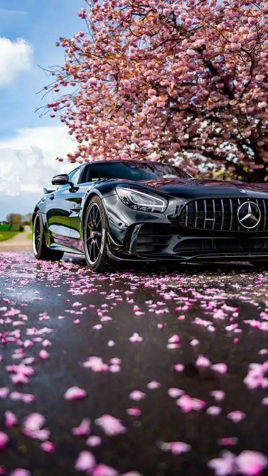 Chiếc Mercedes màu đen chụp chính diện dưới cây hoa hồng, mặt nước phản gương lẫn cánh rơi trước mũi xe khiến ảnh nền ô tô 4K này mềm mà vẫn khỏe