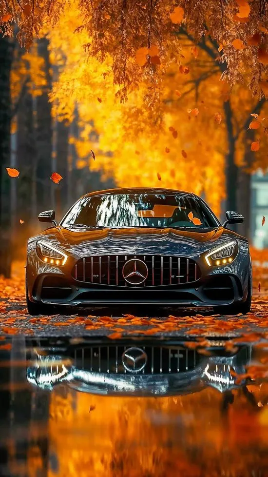 Mẫu Mercedes màu cam chụp thẳng đầu xe trong rừng lá vàng, vũng nước dưới chân phản chiếu lưới tản nhiệt khiến ảnh nền xe hơi 4K nhìn ấm và đậm hơn