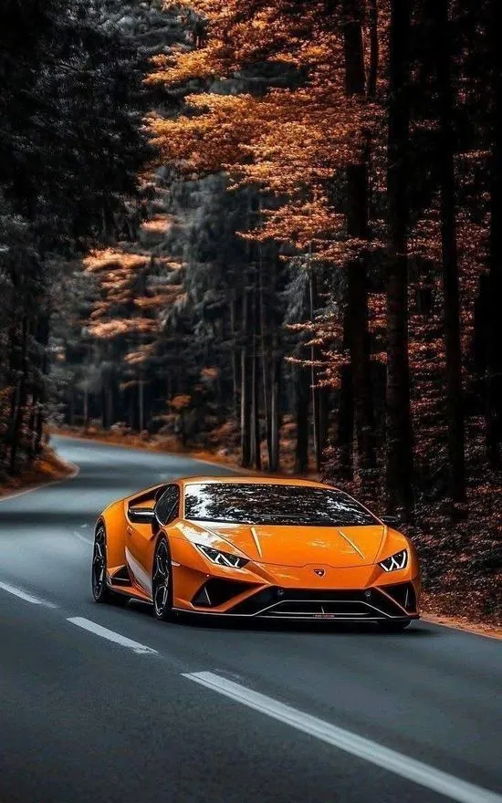 Wallpaper xe hơi chiếc Lamborghini cam chạy giữa rừng cao tối màu, thân xe thấp dài nổi bật trên mặt đường xám khiến hình nền siêu xe cho di động trông rất ngầu