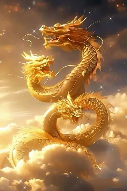 99 Hình Nền Rồng phong thủy hợp Tuổi Thìn tôn thần thái mạnh mẽ đầy quyền uy