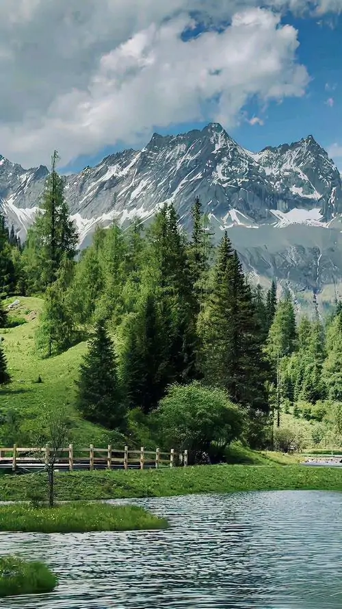 Cỏ non và hoa dại trải kín triền đồi dưới ngọn núi nhọn vươn cao, ánh sáng trong trẻo làm khung hình dọc này đẹp theo kiểu sáng sạch và dễ chịu