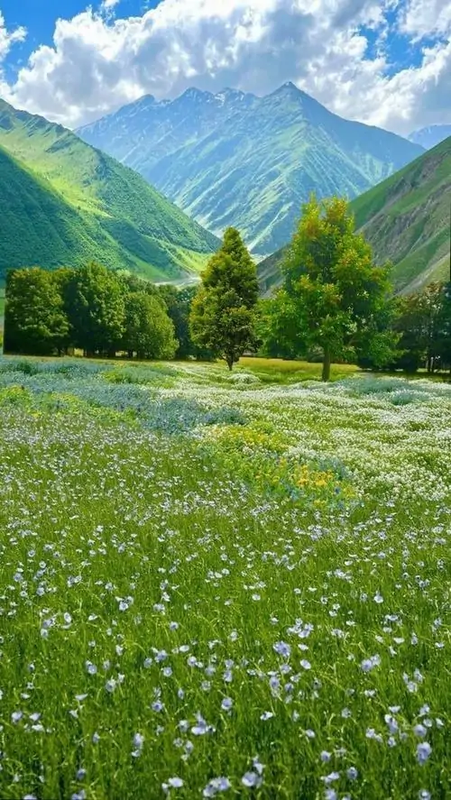 Ảnh nền đt iPhone sườn núi xanh mở rộng trước đỉnh đá cao, từng mảng hoa trắng rải rác trên đồng cỏ làm ảnh nền cảnh sắc này vừa tươi vừa rất 4K