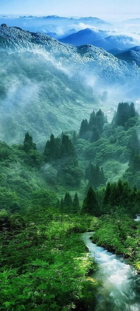 Một thân cây đứng lẻ trên mỏm đất cao nhìn xuống dòng nước quanh co, mảng mây trắng lớn nổi bật giữa nền trời tạo cảm giác rộng và sạch khung hình