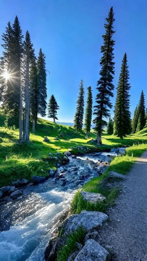 Hình nền điện thoại khe nước xanh phát sáng giữa vách đá dựng, tầng cây rủ xuống và ánh sáng lạnh bên trong làm khung dọc này ngầu theo kiểu thiên nhiên 4K