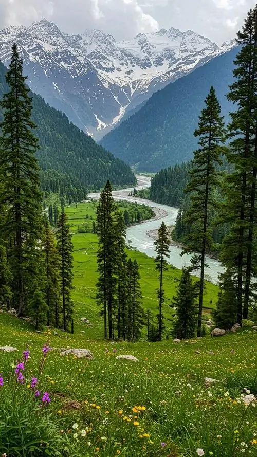 Ảnh bìa dòng sông lặng uốn giữa thung lũng, hai bên là rừng thông và dãy núi tuyết phía xa hiện lên rõ nét, chất ảnh HD nhìn rất đã mắt