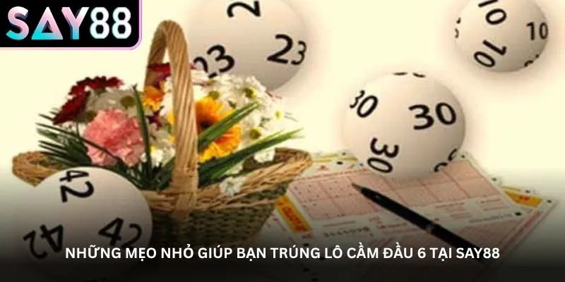 Những mẹo nhỏ giúp bạn trúng lô cầm đầu 6 tại Say88