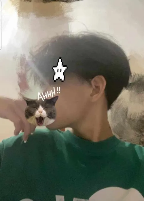 tong hop anh dai dien trai dep cap hai che mat lam hinh nen 13
